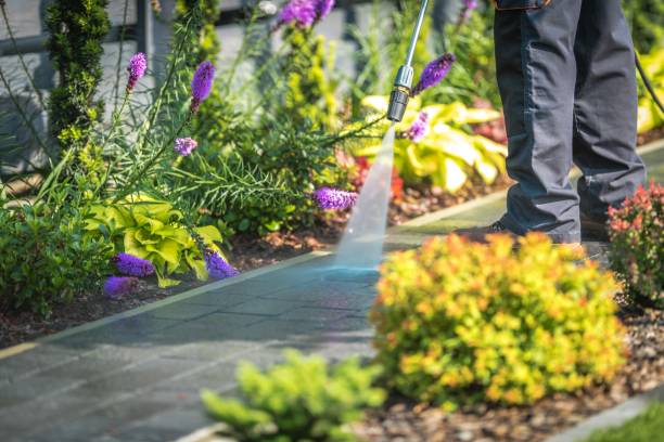 Best Gutter Cleaning and Brightening in Parkersburg, IA