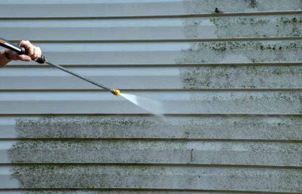 Best Driveway Cleaning and Restoration in Parkersburg, IA