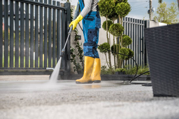 Best Soft Washing for Delicate Surfaces in Parkersburg, IA